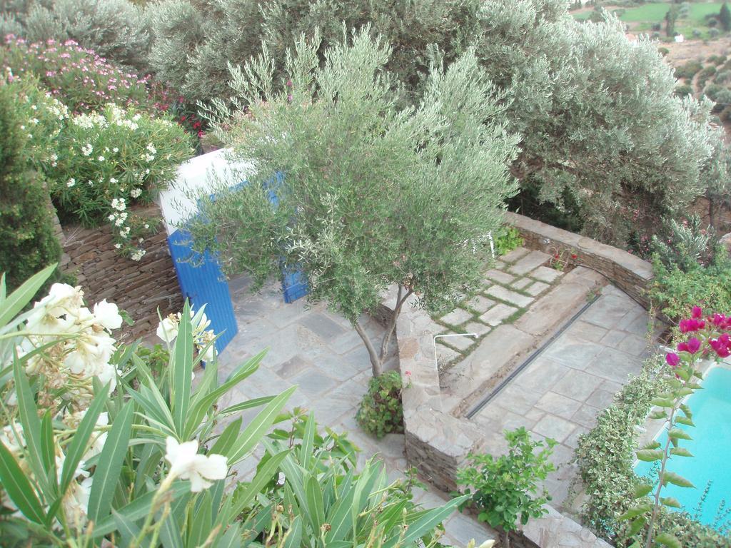 Anezas Mansion Stone-Built Traditional Villa Khónias المظهر الخارجي الصورة